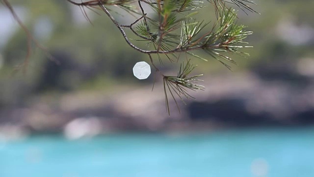 西班牙巴利阿里群岛伊比沙岛北部的海景和海岸线视频下载