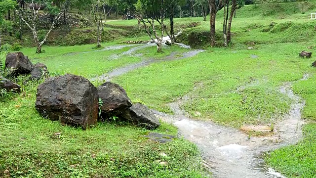 森林里的洪水淹没了露营地视频素材