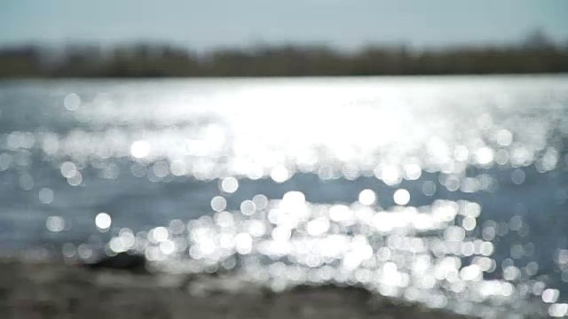 阳光下的河流视频素材