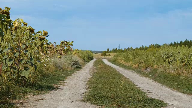 田野里的土路。视频素材