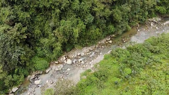 鸟瞰图森林溪流视频素材