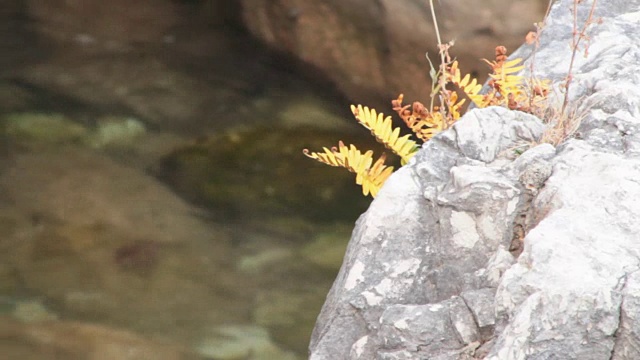 海浪拍打着岩石视频下载