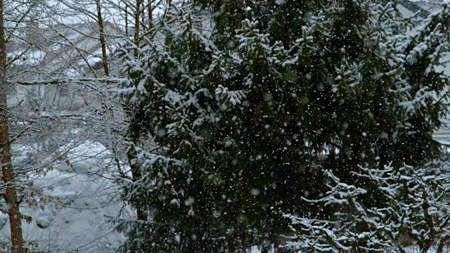 慢镜头:冬天，纯白的白雪覆盖着美丽的高山风景。视频素材