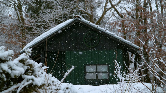 慢镜头:森林中孤独的绿色木屋被雪覆盖。视频素材