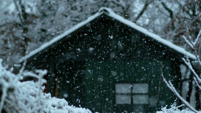 慢镜头:在一个下雪天，在树林里的一间木屋的电影镜头。视频素材