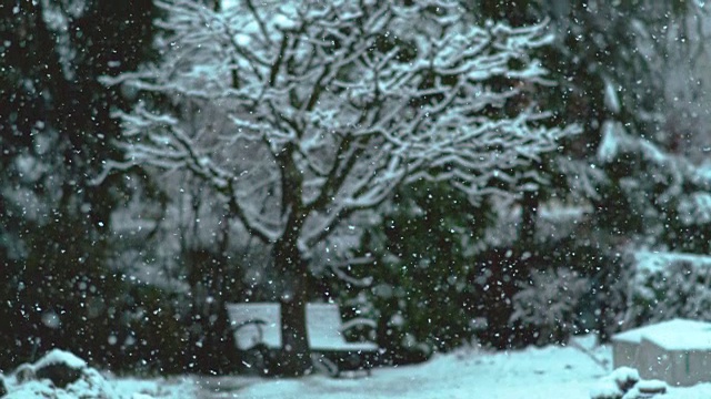 慢镜头:藏在树下的空木凳被雪覆盖。视频素材