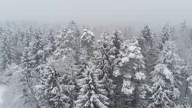 空中摄影:飞过白雪覆盖的森林时，白雪皑皑的山脉正在肆虐。视频素材