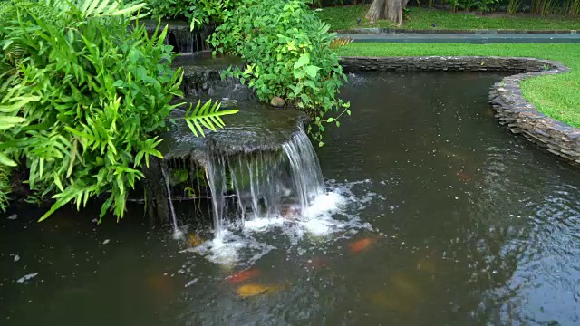 小溪花园瀑布水在池塘与锦鲤和郁郁葱葱的植物。户外公园视频素材