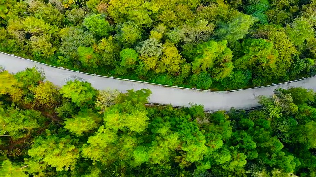 在森林中俯瞰道路视频素材