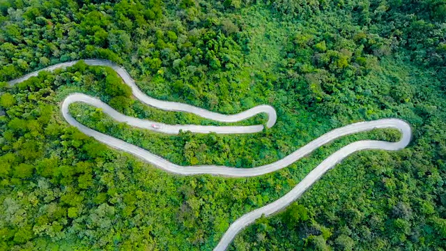 森林中架空的蜿蜒道路视频素材