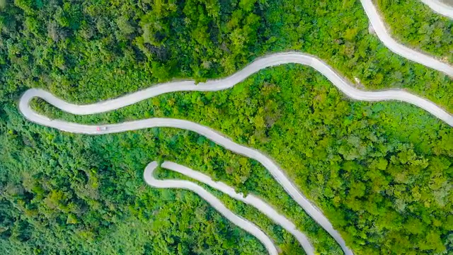 森林中架空的蜿蜒道路视频素材