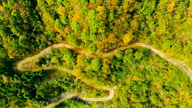 空中乡村蜿蜒的道路在森林视频素材