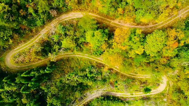 空中乡村蜿蜒的道路在森林视频素材