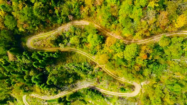 空中乡村蜿蜒的道路在森林视频素材