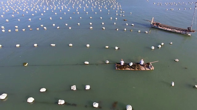 航拍福建海水养殖业。视频素材