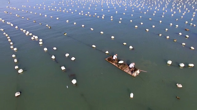 航拍福建海水养殖业。视频素材