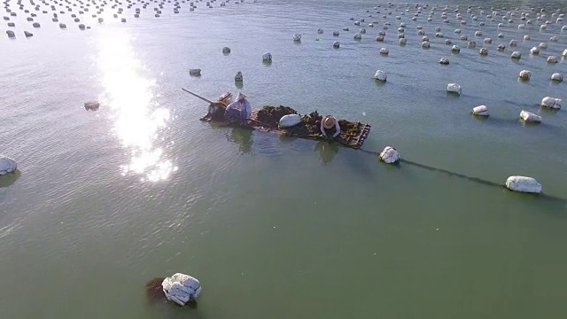 航拍福建海水养殖业。视频素材