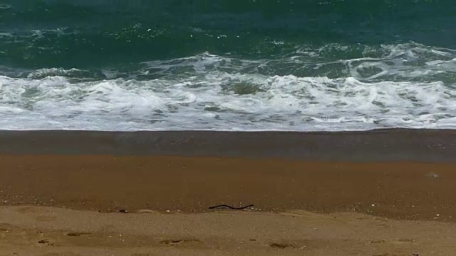 普吉岛国际机场迈考海滩的海浪视频素材