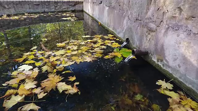 两个管道的来源。少了天空和树木的倒影。视频下载