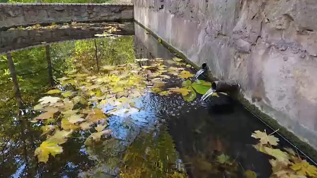 两个管道的来源。更多的天空和树木的倒影。视频下载