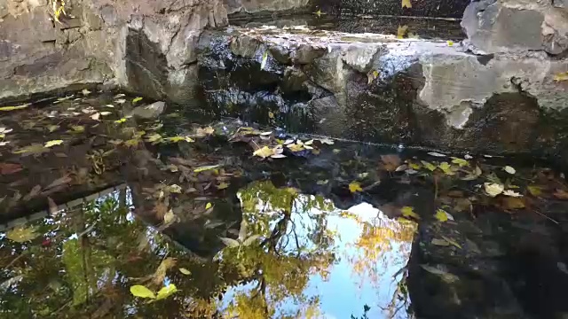 从源头上看，天空的倒影，金色的树叶，水面上的浪花。视频下载