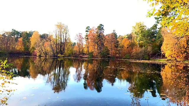 森林湖秋景视频素材