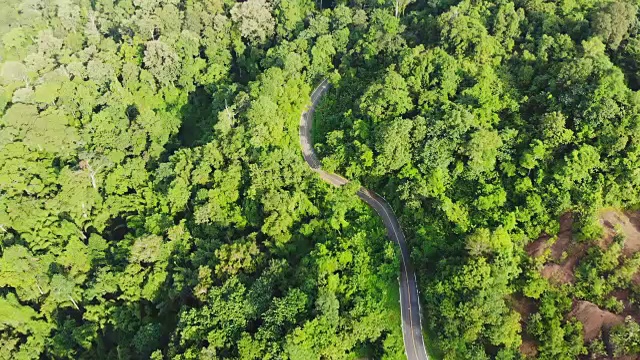 俯视图的乡村道路，路径通过绿色的森林和泰国的乡村，俯视图无人机空中视频。视频素材