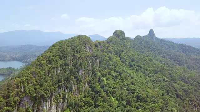 雨林鸟瞰图视频素材