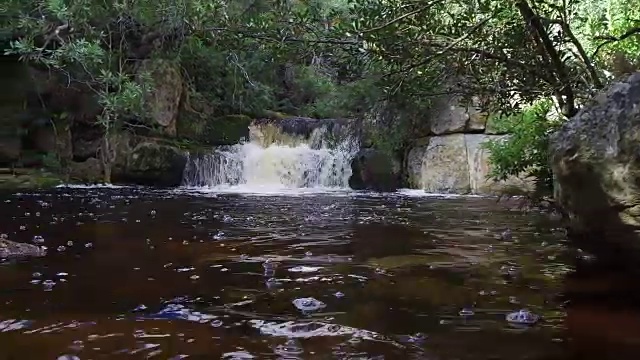 山区河流池视频素材