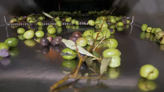 橄榄油的制作过程——意大利南部的橄榄油制作过程视频素材