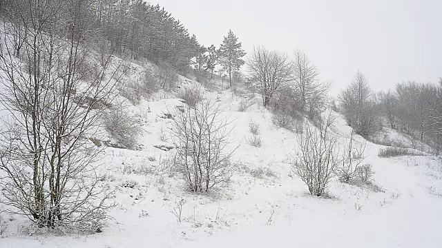 冬天农村景观视频素材