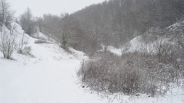 冬天农村景观视频素材