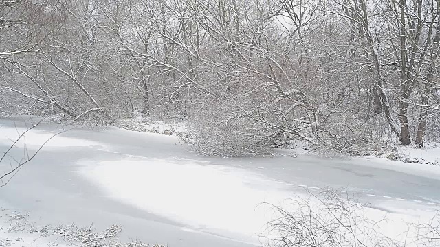 冬天农村景观视频素材