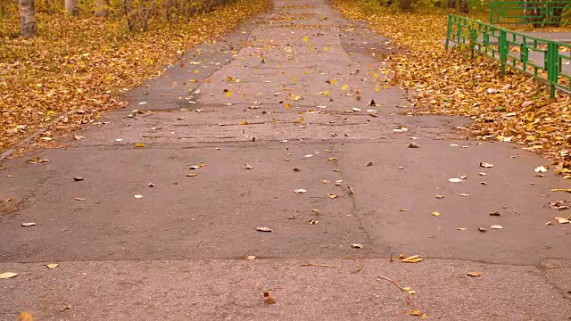 秋天的风吹着树叶在城市公园的小路上缓缓移动。秋叶落视频素材