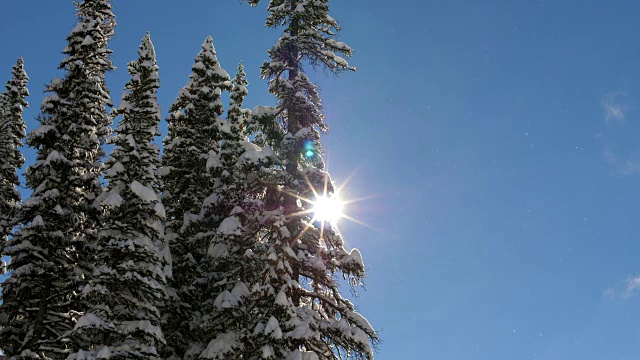 当天下雪了视频素材