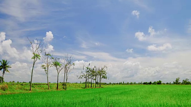 时间绕着田野和天空转视频素材