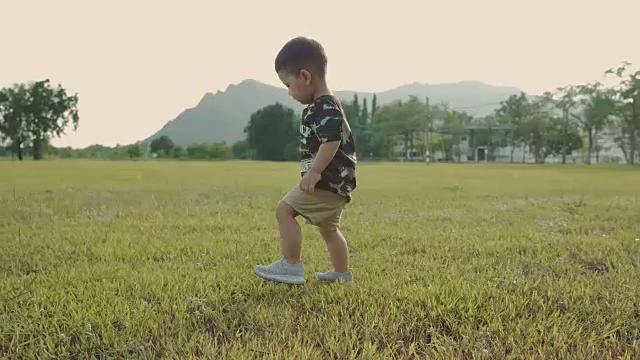 夏日草地上快乐的小男孩视频素材