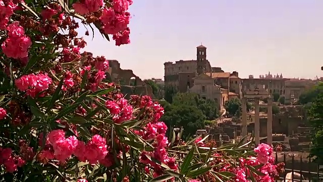 罗马广场古罗马广场(拉丁语:Forum Romanum，意大利语:Foro Romano)是一个长方形的广场，位于罗马市中心，周围环绕着几座重要的古代政府建筑的废墟。视频素材