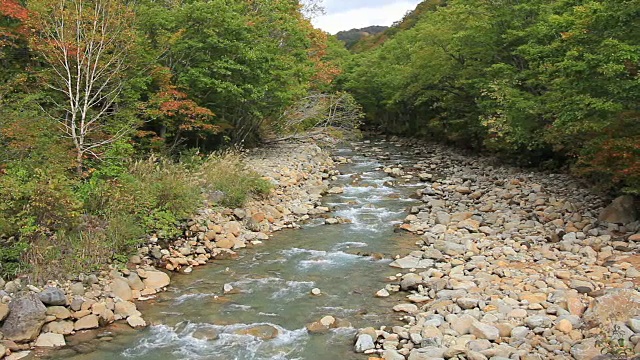 日本自然视频素材