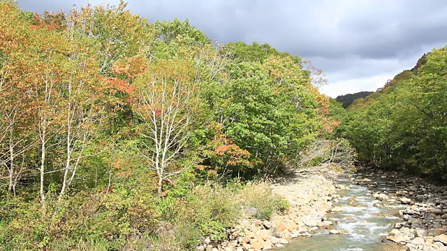 日本自然视频素材