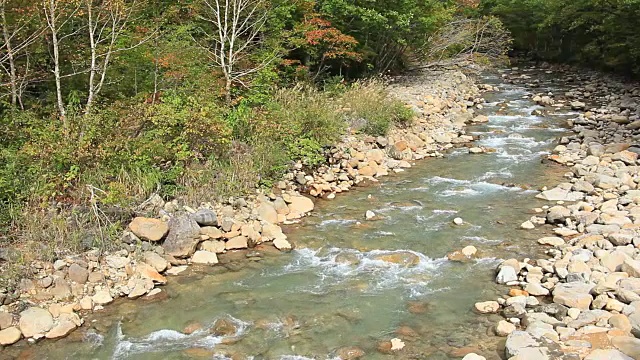 日本自然视频素材