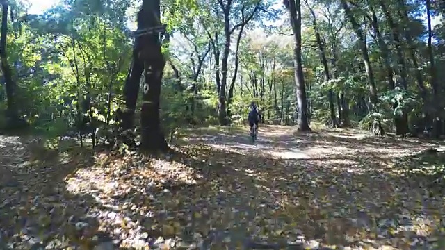 一个骑山地车的人穿过森林视频素材