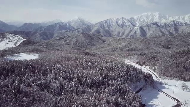 空中森林和山脉在冬天，白波，长野县，日本视频下载