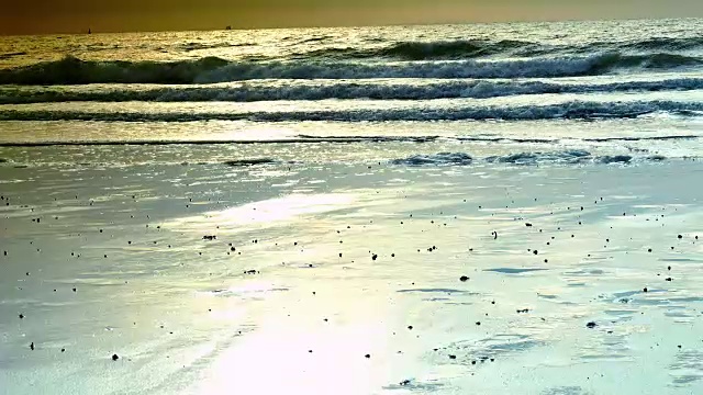 大西洋的风景，海滩上的日落，海鸥和海浪视频素材