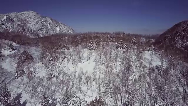 空中景观与森林和山脉在冬天，志贺高地，Joshin etu - kogen国家公园，长野县，日本视频下载