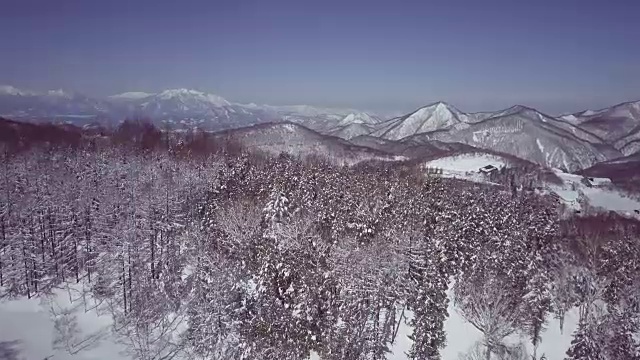 空中景观与森林和山脉在冬天，志贺高地，Joshin etu - kogen国家公园，长野县，日本视频下载