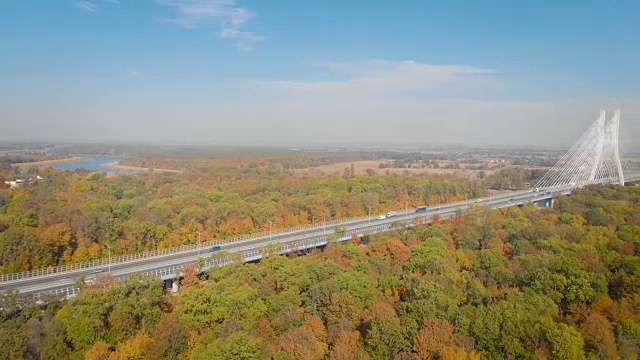 秋天森林中的悬索桥(架空)视频素材