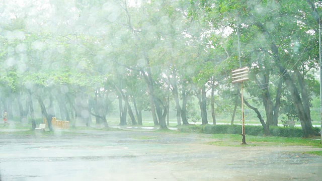 雨滴落在草地上视频素材