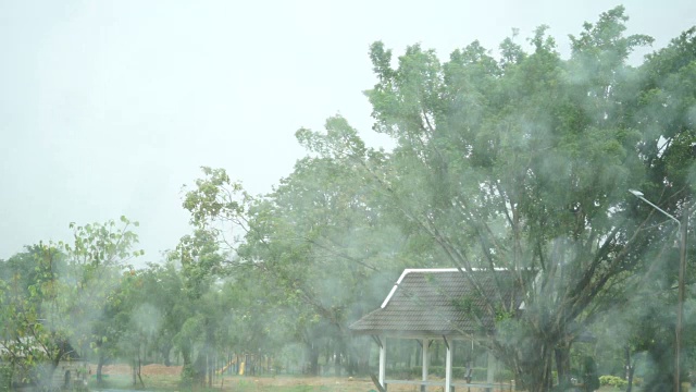 雨滴落在草地上视频素材