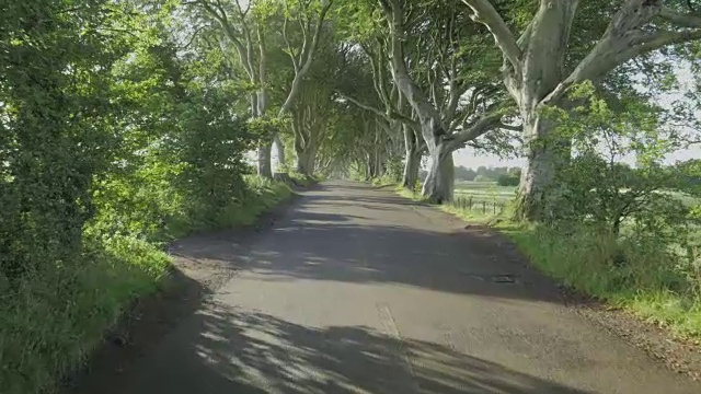 在北爱尔兰秋天的早晨，我走在黑暗的绿树成荫的乡间小路上视频素材